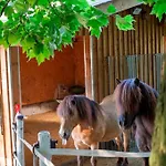 Ap-ranch Ferienzimmer Auszeit Apartment *