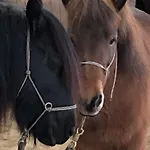 Ap-ranch Ferienzimmer Auszeit