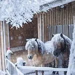 Ap-ranch Ferienzimmer Auszeit Astatt