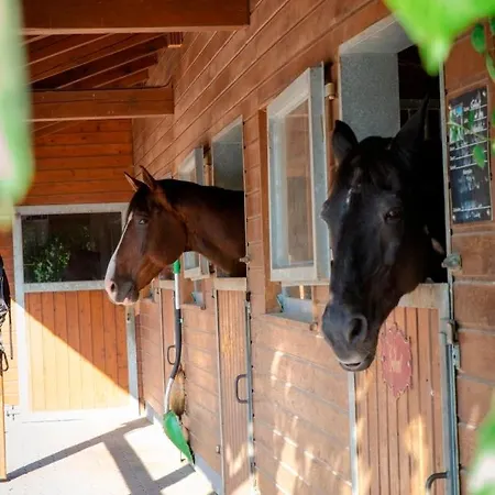 Ap-ranch Ferienzimmer Auszeit Daire *