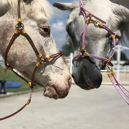 Ap-ranch Ferienzimmer Auszeit Daire