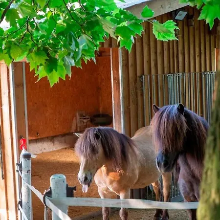 Ap-ranch Ferienzimmer Auszeit Daire *