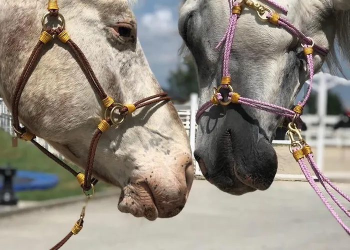 Ap-ranch Ferienzimmer Auszeit Apartment