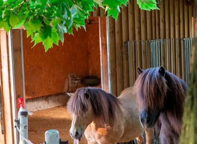 Ap-ranch Ferienzimmer Auszeit Apartman *