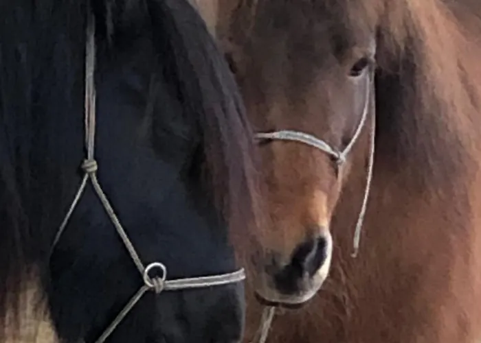 Ap-ranch Ferienzimmer Auszeit