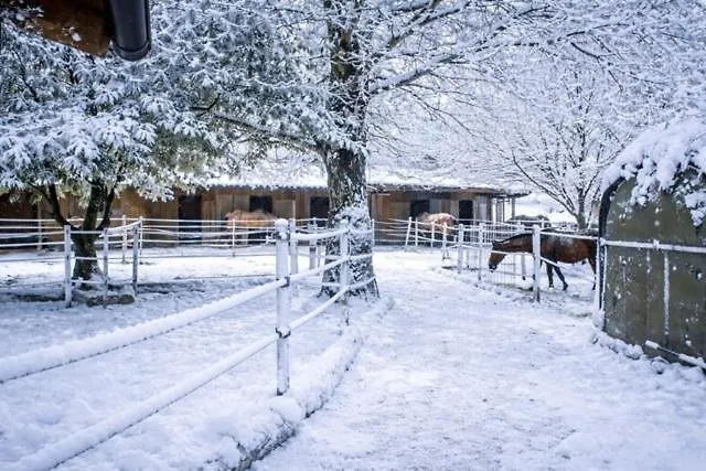 Apartman Ap-ranch Ferienzimmer Auszeit