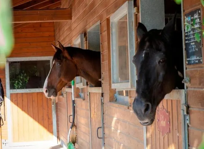 Ap-ranch Ferienzimmer Auszeit شقة *