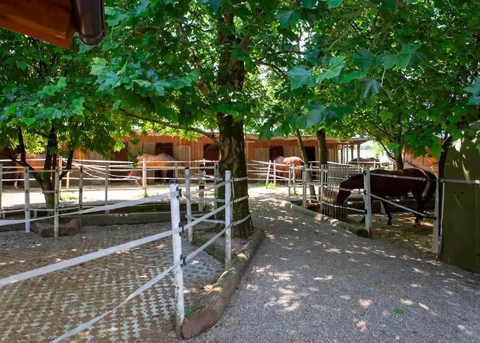 Ap-ranch Ferienzimmer Auszeit *