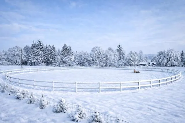 Ap-ranch Ferienzimmer Auszeit شقة Astatt